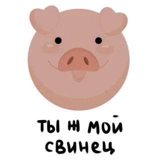 😇 d9bc0777 ты ж мой свинец pig, animal, cute, text, russian whatsapp sticker