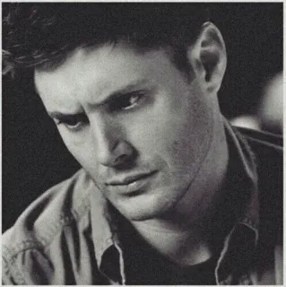 🐚 41e7717b telegram sticker