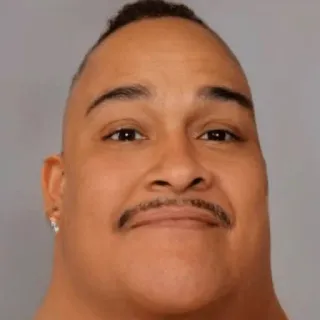 🤭 95a71453 telegram sticker