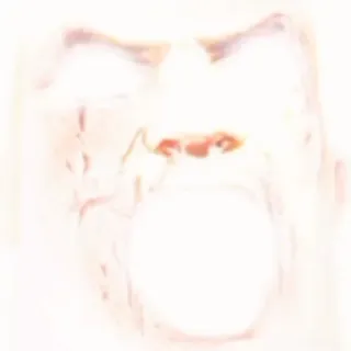 😁 9666b1e2 telegram sticker