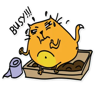 😤 8da7bc50 Busy!!! cat, busy, bathroom, toilet, funny, cartoon, animal telegram sticker
