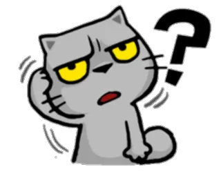 ❓ 1a2f62cb Katze, Frage, verwirrt, denkend, Cartoon telegram sticker