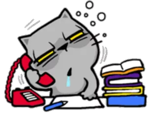 😖 2645d391 Katze, Handy, traurig, müde, Bücher, Büro telegram sticker