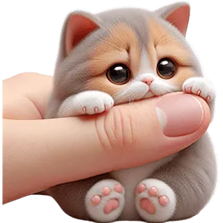 🥺 1ec85cca แมว, ลูกแมว, น่ารัก, สัตว์, สัตว์เลี้ยง, ขี้เล่น telegram sticker