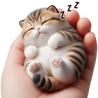 😴 944d961c zzz แมว, ลูกแมว, นอนหลับ, น่ารัก, สัตว์เลี้ยง, สัตว์ telegram sticker