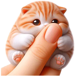 😶 bb69e3cd แมว, ลูกแมว, น่ารัก, สัตว์, สัตว์เลี้ยง, ส้มลายเสือ, ตลก, กลม telegram sticker