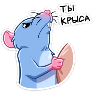 😡 24f4724b ТЫ КРЫСА 老鼠, 动物, 侮辱, 啮齿动物, 贴纸, 卡通 telegram sticker