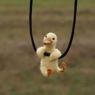 good mrowning! ☀️ telegram stickers