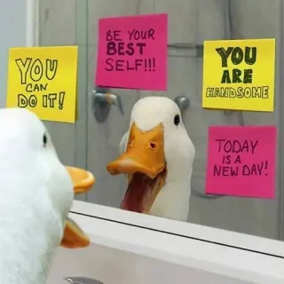 good mrowning! ☀️ telegram stickers