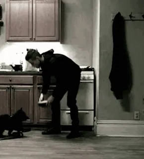 🐕 b6f9cb5d whatsapp sticker