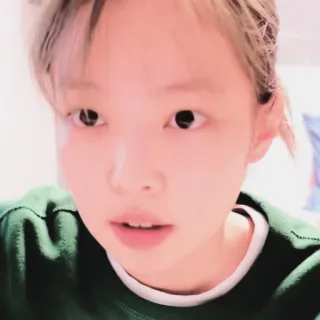 🐻 0aa6351f telegram sticker