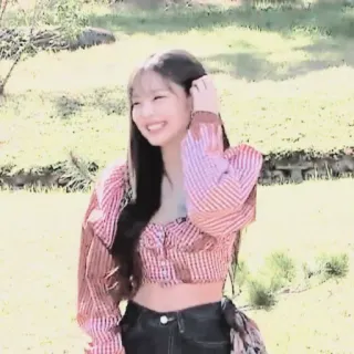 🐻 3fee0f50 telegram sticker