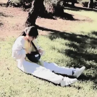 🐻 63d19c5e telegram sticker