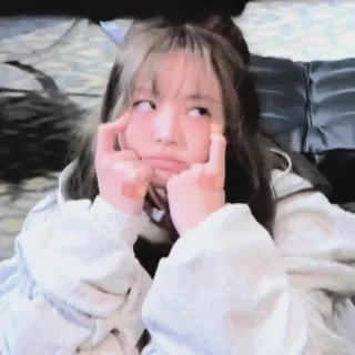 🐻 d3692349 telegram sticker