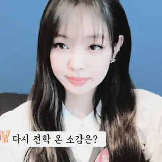 🐻 ec9cf122 다시 전학 온 소감은? 韩语, 人, 女孩, 微笑, 黑发 telegram sticker