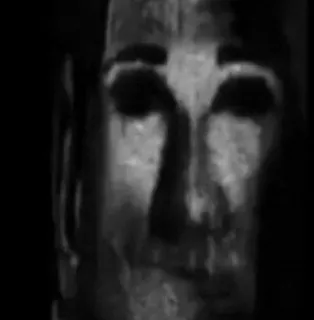 🤐 257e3f1d face, black and white, abstract, portrait telegram sticker