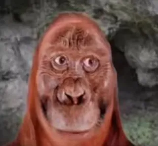 🦧 c6350dad ape, funny, meme, orangutan, animal telegram sticker