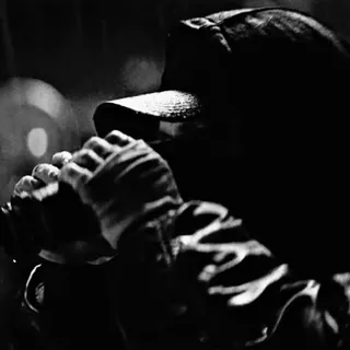 🦇 5662a6f4 telegram sticker