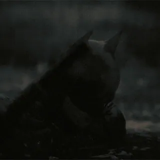 🦇 70ce9a57 Batman superhero, komik, gelap, main hakim sendiri, jubah, penutup kepala telegram sticker