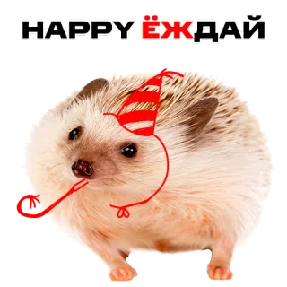 🥳 10023b0b НАРРУ ЁЖДАЙ hedgehog, animal, birthday, party, hat, celebration telegram sticker