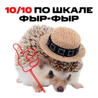 надЁЖные стикеры telegram stickers