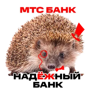 ❤️ 46a17f26 МТС БАНК
НАДЁЖНЫЙ БАНК hedgehog, mts bank, reliable bank, russian, animal telegram sticker