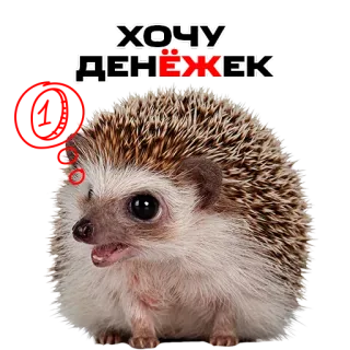 🤑 59fea4b5 ХОЧУ ДЕНЁЖЕК hedgehog, money, cute, sticker, cartoon, russian telegram sticker