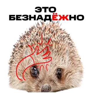 🤦‍♀️ b1ed7f46 ЭТО БЕЗНАДЁЖНО hedgehog, sad, defeat, hopeless, frustration, animal, cute telegram sticker