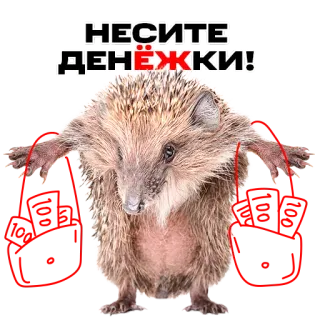 💸 e6d2acf7 НЕСИТЕ ДЕНЕЖКИ! hedgehog, money, carry, cute, animal, funny telegram sticker