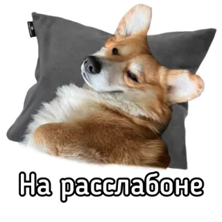 😴 972b9bc9 На расслабоне คอร์กี้, หมา, ผ่อนคลาย, ชิล, หมอน telegram sticker