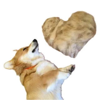 ❤️ b1e4197f คอร์กี้, หมา, หัวใจ, สัตว์ telegram sticker