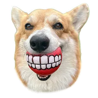 😬 e3442344 คอร์กี้, หมา, สัตว์, สัตว์เลี้ยง, ลูกบอล, ฟัน telegram sticker