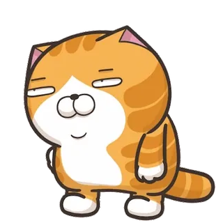 💃 0c0e536c cat, cute, animal, cartoon, orange, pet telegram sticker