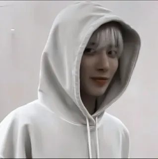 👒 18d1f9c0 person, hoodie, white, portrait, youth telegram sticker