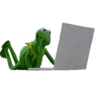 💻 70682b35 Kermit 科米蛙, 布偶, 青蛙, 笔记本电脑, 思考, 互联网, 表情包 telegram sticker