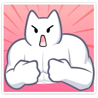 🤬 364585bd cat, muscular, animal, fitness, gym whatsapp sticker