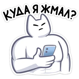 🤨 aaacaacf КУДА Я ЖМАЛ? cat, animal, meme, cartoon, phone whatsapp sticker