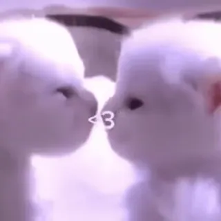 МурМяу - @Tg_stickersu telegram stickers