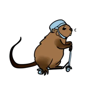 🛴 0bb2d53e 비버, 스쿠터, 동물, 헬멧, 만화 telegram sticker