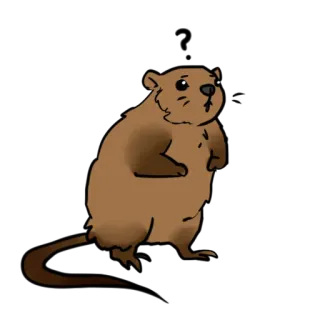 Печальная ондатра by @artstriks (@stickerssave) telegram stickers