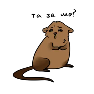 😥 df614ca0 쥐, 슬픈, 만화, 동물, 귀여운, 설치류 telegram sticker