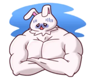 😦 afa7f9be coniglio, coniglietto, muscoli, muscoloso, forte whatsapp sticker