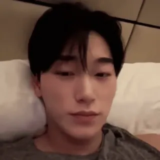 🪵 072f7597 whatsapp sticker