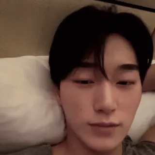 🪵 08b54a9b whatsapp sticker