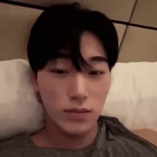 🪵 1335348d whatsapp sticker