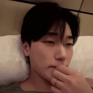 🪵 1b34add5 whatsapp sticker