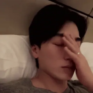 🪵 2a52b345 whatsapp sticker