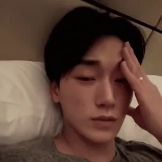 🪵 2f20b155 whatsapp sticker