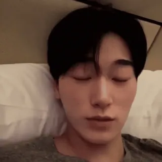 🪵 37f2f991 whatsapp sticker