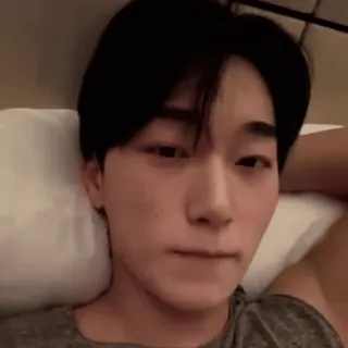 🪵 4933aa9c whatsapp sticker